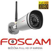 Foscam FI9900P